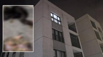 Başakşehir'de sitede 4 yavru kedi parçalanarak öldürüldü iddiası