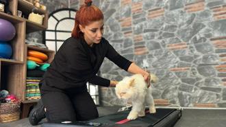 18 yaşındaki kediye fizyoterapi desteği