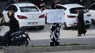 Akan trafikte inek kostümüyle sürücülere hız yapmayın uyarısı