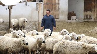Hayvan sevgisiyle sağlığına kavuştu; köyüne dönüp modern tarım ve hayvancılığa başladı