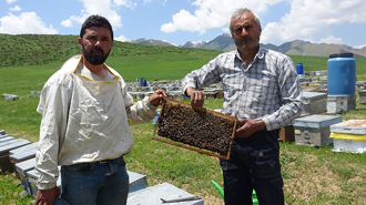 Bodrumlu arıcı, 5 yıldır Yüksekova'da bal hasadı yapıyor