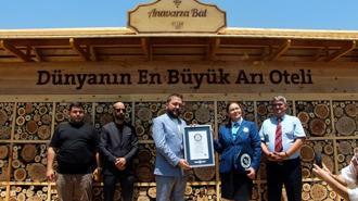 Adana'da hayata geçirilen 'arı oteli' dünyanın en büyüğü; Guinness tescil etti