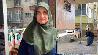 Hayvanlara dokunma korkusunu martıyla bağ kurup yendi