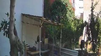 Yumurtaları alıp götüren karga kamerada