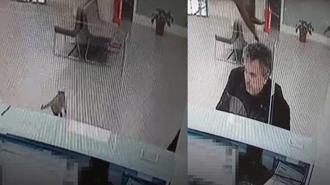 Bankada işlem yaparken üzerine kedi düştü; o anlar kamerada