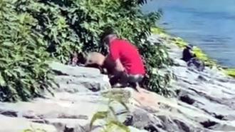 Avcılar Sahili’nde köpeğe şiddet kamerada; şüpheli gözaltına alındı
