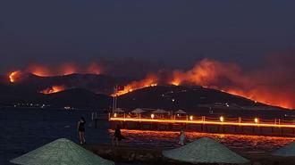 Milas'ta orman yangını