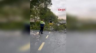 İstanbul’da fırtına; bazı ilçelerde ağaçlar devrildi, çatılar uçtu
