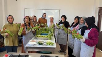 Midyatlı kadınlar, coğrafi işaretli acurun turşusunu kuruyor