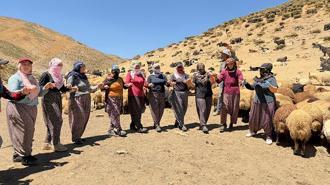 Yaylada süt sağımı sonrası halay çekerek stres atıyorlar