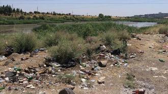 Dicle Vadisi’nde ‘piknikçi’ kirliliği: Atıklar insan ve yaban hayatını tehdit ediyor