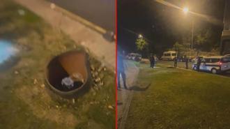 Kağıthane'de rögar kapağından gelen ses tedirgin etti