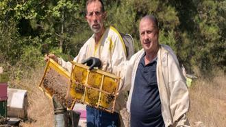 Babasının mide rahatsızlığının tedavisi için başladığı arıcılık, 51 yıldır mesleği oldu