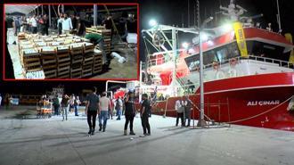 Gürpınar Balık Hali'nde balıkçılar avdan döndü: Bu sene palamut bol