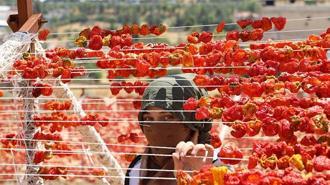 Gaziantep'te yüksek tepelerde kurutmalıklar renk cümbüşü oluşturdu