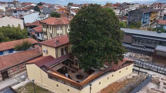 Kökleri 3 asra, hatırası Zeki Müren’e uzanan manolya ağacının altında vefa nöbeti