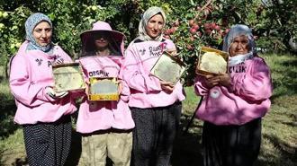 'Pembe maskeli’ kadın arıcılar hasada başladı