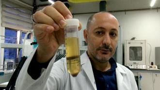 Hayvan yemi olarak kullanılan fındık posası, tüketilebilir protein kaynağına dönüşecek