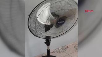 Osmaniye'de 5.2 büyüklüğünde deprem
