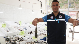 Van Gölü'nde inci kefalinin boyu, koruma çalışmalarıyla yüzde 30 uzadı