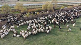 Van ve Bitlis’te göçerlerin dönüş yolculuğu başladı