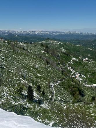 Trabzonda zirai don etkisi; yüzde 25lik zarar