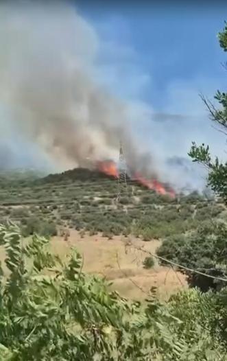 Bursada çıkan orman yangını kontrol altında