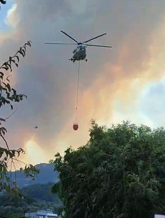 Bursa’da çıkan orman yangını kontrol altında