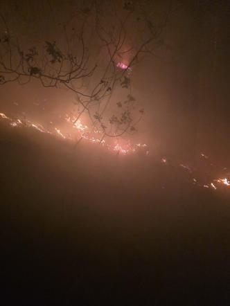 Hatay’da yıldırım düşmesi sonucu çıkan orman yangını, 12 saatte kontrol altına alındı