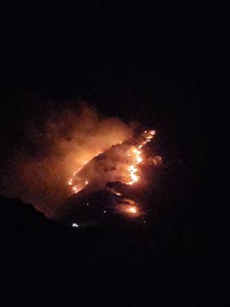 Marmara Adasında orman yangın