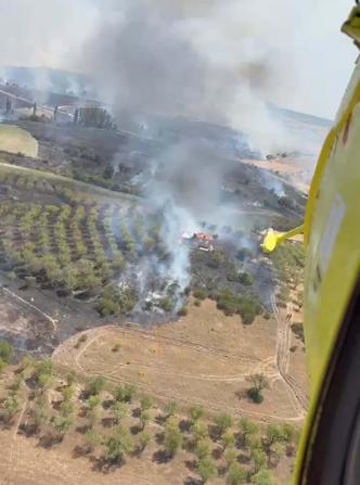 Balıkesirde orman ve tarım arazisinde yangın