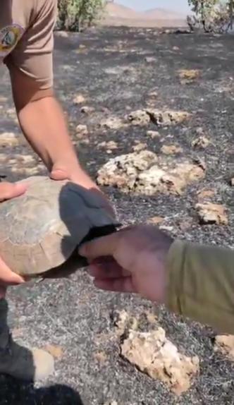 Mardinin 2 ilçesinde çıkan örtü yangını söndürüldü