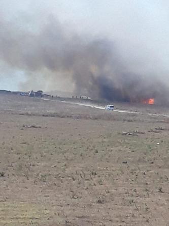 Balıkesirde çamlıkta yangın