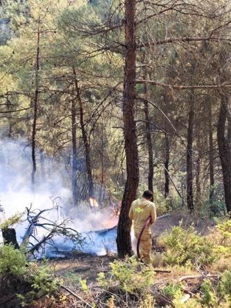 Sakaryada çıkıp Bilecike sıçrayan orman yangını 2nci gününde