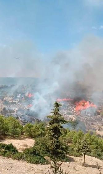 İzmirde çöplükte çıkan yangın, ormana sıçradı