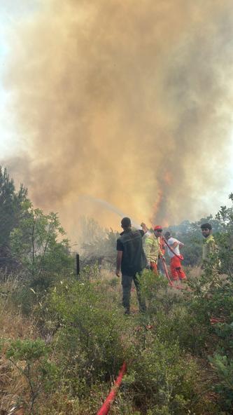 Bursada çıkan orman yangını kontrol altında
