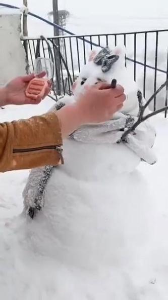 Soğuktan etkilenen buzağını evine getirip, fön makinesi ile kuruttu
