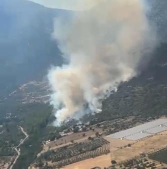 Muğlada orman yangını