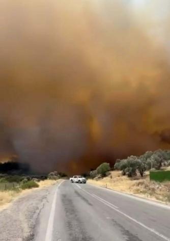 Foçadaki orman yangını soruşturmasında 1 tutuklama