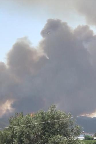 Adanada çıkan orman yangını kontrol altında