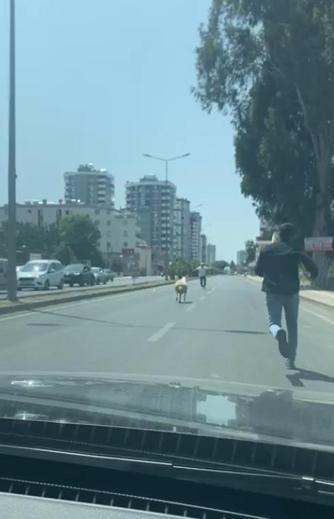 Yurttan Kurban Bayramı Manzaraları