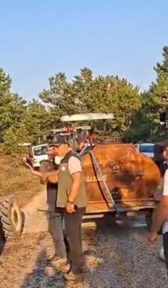 Bolu Göynük’te orman yangını