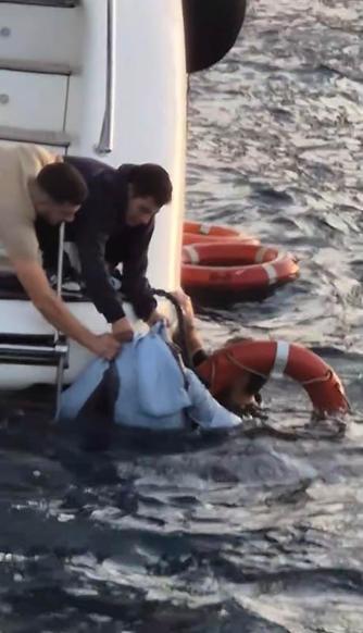 İstanbul Boğazında denize düşen kadını turist kurtardı; Bir can çırpınırken kendimi düşünemem dedi