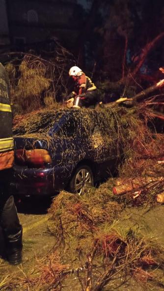 Aydın’da seyir halindeki otomobilin üzerine ağaç devrildi; çift yaralandı
