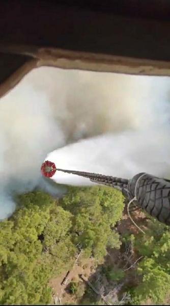 İzmirde orman yangını kontrol altına alındı