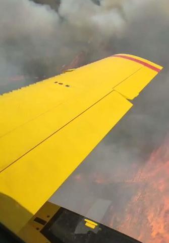 Balıkesirde orman ve tarım arazisinde yangın