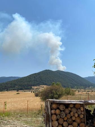 Çankırıda çıkan orman yangını kısmen kontrol altına alındı
