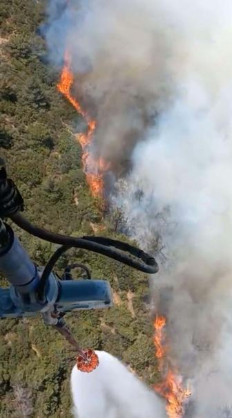 Foçadaki orman yangını soruşturmasında 1 tutuklama