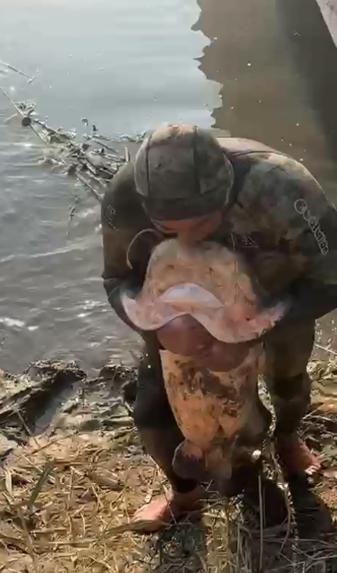 Çayda eliyle yakaladığı yayın balığını güçlükle sudan çıkardı