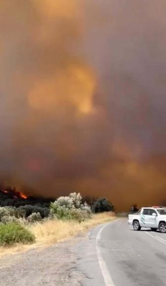 Foçadaki orman yangını soruşturmasında 1 tutuklama